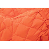 Kentucky Dog Rug Winter Pina 160g Orange Kentucky Dog Rug Winter Pina 160g Orange