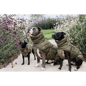 Kentucky Dog Rug Winter Pina 160g Pine Green Kentucky Dog Rug Winter Pina 160g Pine Green