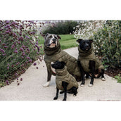 Kentucky Dog Rug Winter Pina 160g Pine Green Kentucky Dog Rug Winter Pina 160g Pine Green