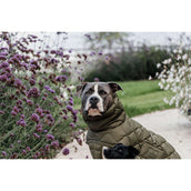 Kentucky Dog Rug Winter Pina 160g Pine Green Kentucky Dog Rug Winter Pina 160g Pine Green