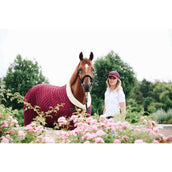 Kentucky Show Rug 160g Bordeaux Kentucky Show Rug 160g Bordeaux