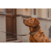 Kentucky Collar Plaited Nylon Beige Kentucky Collar Plaited Nylon Beige