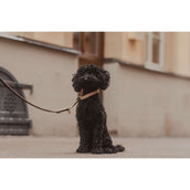 Kentucky Collar Plaited Nylon Beige Kentucky Collar Plaited Nylon Beige