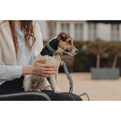 Kentucky Dog Collar Soft Vegan Leather Navy/Beige Kentucky Dog Collar Soft Vegan Leather Navy/Beige