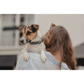 Kentucky Dog Collar Soft Vegan Leather Navy/Beige Kentucky Dog Collar Soft Vegan Leather Navy/Beige