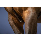 Dyon Chest Buckle Bridge New English Collection Brown Dyon Chest Buckle Bridge New English Collection Brown