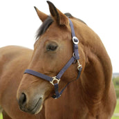 Covalliero Head-Collar Hippo Marine Covalliero Head-Collar Hippo Marine