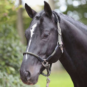 Kerbl Halter Cordano Olive Kerbl Halter Cordano Olive