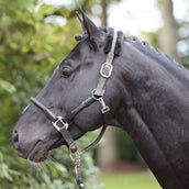 Kerbl Halter Cordano Olive Kerbl Halter Cordano Olive