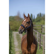 Kingsland Head Collar Set KLLucca Navy Kingsland Head Collar Set KLLucca Navy