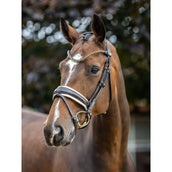 LeMieux Bridle Kudos Patent Dressage Brown/White LeMieux Bridle Kudos Patent Dressage Brown/White