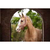 LeMieux Head Collar Set Vogue Blossom LeMieux Head Collar Set Vogue Blossom