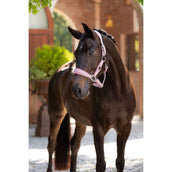 LeMieux Halter Versailles Blossom LeMieux Halter Versailles Blossom