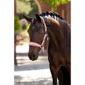 LeMieux Halter Versailles Blossom LeMieux Halter Versailles Blossom