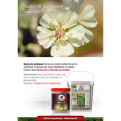 Leovet Herbage Feed Leovet Herbage Feed