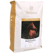 Metazoa BalanceFit Timothee Metazoa BalanceFit Timothee