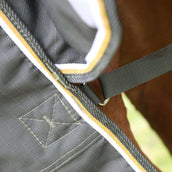 Highlander Plus Rain Rug Turnout 50g Green Highlander Plus Rain Rug Turnout 50g Green