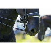 Trust Dressage Bit Sweet Iron Weymouth Fixed Medium Port 16mm Trust Dressage Bit Sweet Iron Weymouth Fixed Medium Port 16mm