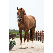 Trust Pessoa Bit Inno Sense 2,5 Ring Port Medium 15mm Trust Pessoa Bit Inno Sense 2,5 Ring Port Medium 15mm