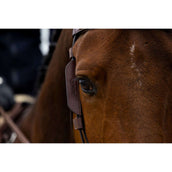 Trust Blinker Brown Trust Blinker Brown