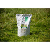 Vitalstyle Meadow Grass Seed Vitalstyle Meadow Grass Seed