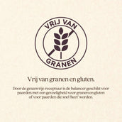 Vitalstyle DailyFit Balancer Vitalstyle DailyFit Balancer