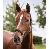 Waldhausen Halter Perlon Satin Green/Brown Waldhausen Halter Perlon Satin Green/Brown