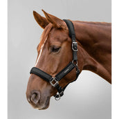 Waldhausen Halter Soft Touch Black Waldhausen Halter Soft Touch Black