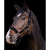 Waldhausen Halter St. Gallen Black Waldhausen Halter St. Gallen Black