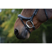 Collegiate Bridle ComFiTec Vogue Anatomic Black Collegiate Bridle ComFiTec Vogue Anatomic Black