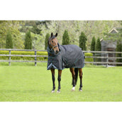 WeatherBeeta Winter Rug ComFiTec Plus Dynamic II Detach-A-Neck Medium/Lite 100g Grey/Dark Green/White WeatherBeeta Winter Rug ComFiTec Plus Dynamic II Detach-A-Neck Medium/Lite 100g Grey/Dark Green/White