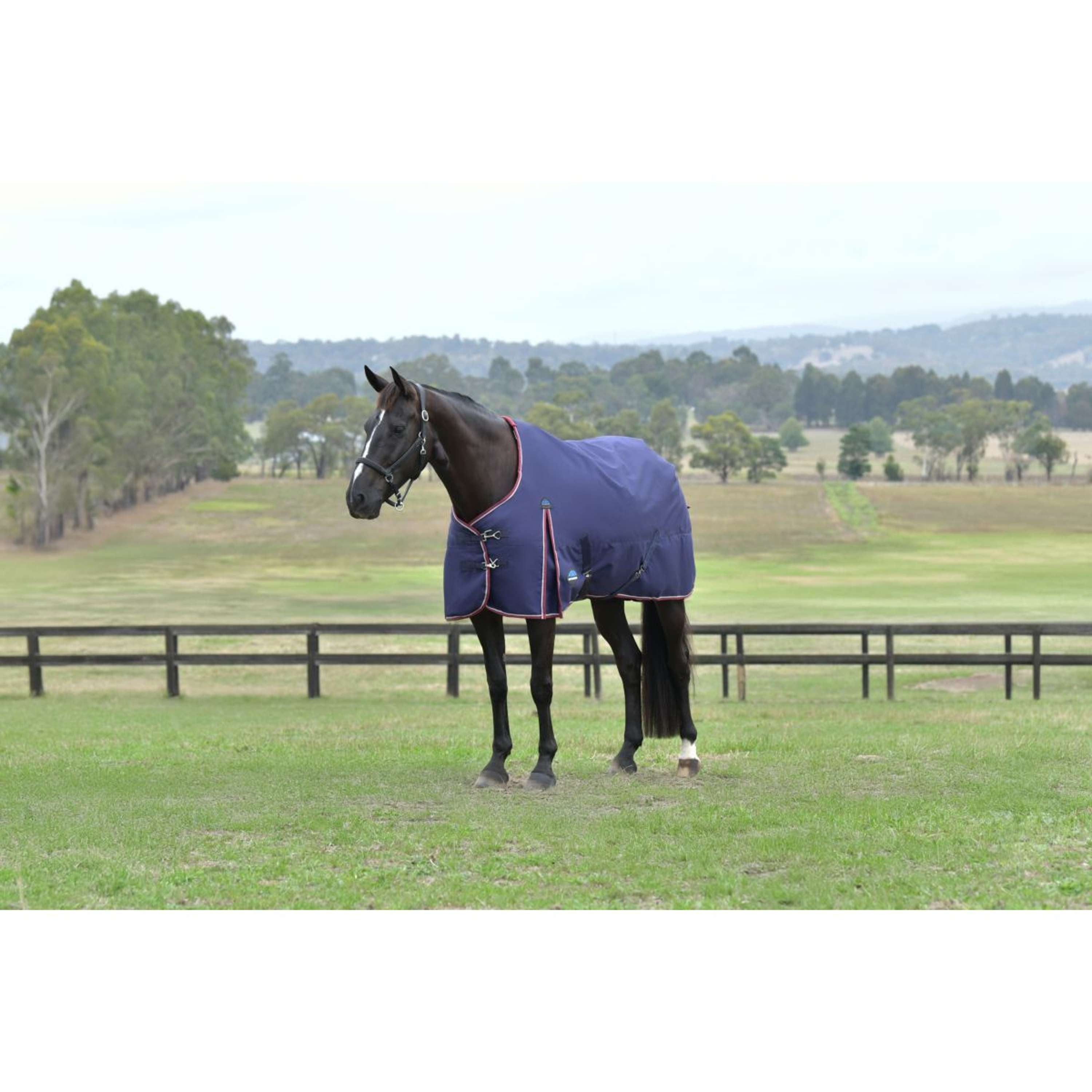 WeatherBeeta ComFiTec Essential Turnout 0g Navy/Burgundy | Agradi.com