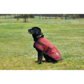 WeatherBeeta Dog Rug ComFiTec Classic Waterproof Burgundy WeatherBeeta Dog Rug ComFiTec Classic Waterproof Burgundy