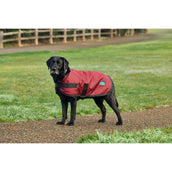 WeatherBeeta Dog Rug ComFiTec Classic Waterproof Burgundy WeatherBeeta Dog Rug ComFiTec Classic Waterproof Burgundy