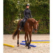 Waldhausen Groundwork Beams Set of 2 Blue/Yellow Waldhausen Groundwork Beams Set of 2 Blue/Yellow