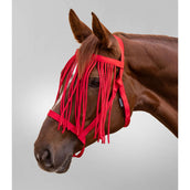 Waldhausen Halter Grazing with Fringe Red Waldhausen Halter Grazing with Fringe Red