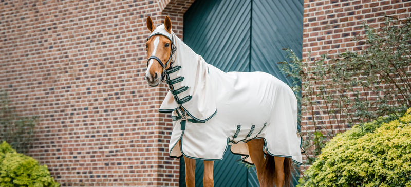 Eczema Rugs: How to choose the right one for your horse