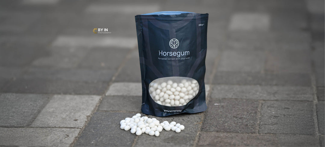 Horsegum: the chewing support for a relaxed horse