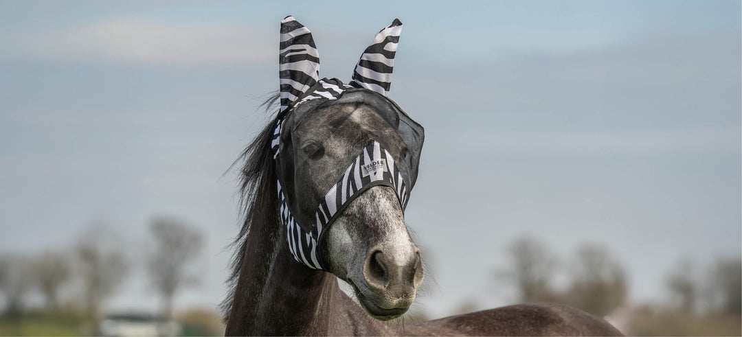 Fly mask for horses: choosing the right protection