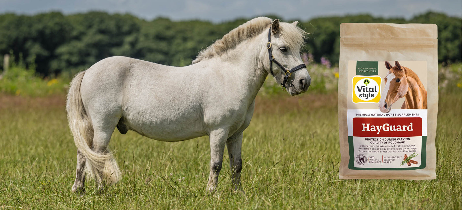 The benefits of HayGuard with poor-quality roughage