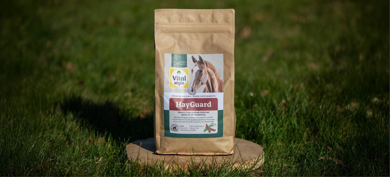 The benefits of HayGuard with poor-quality roughage