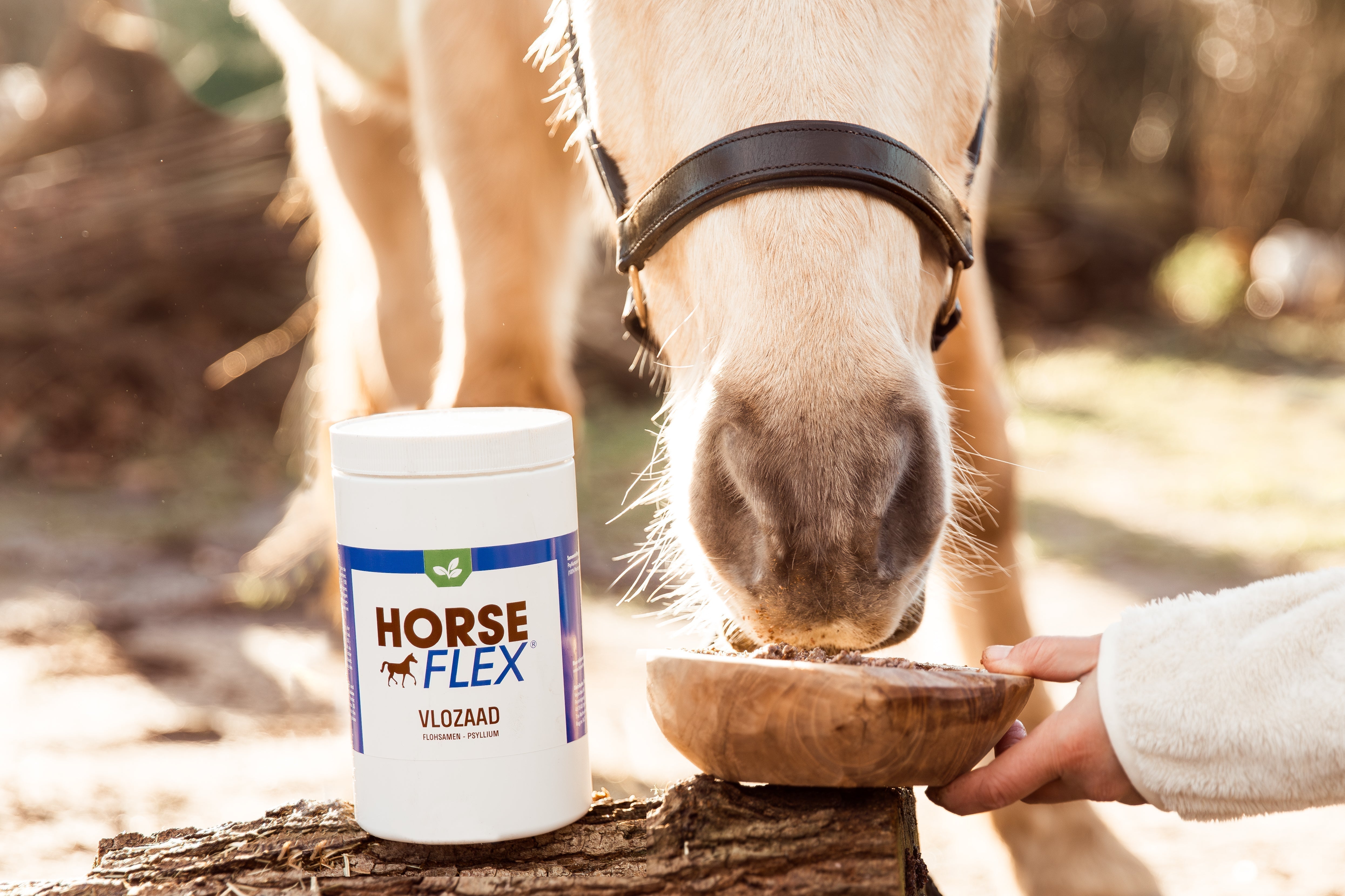 Autumn sand cure: all about psyllium for horses