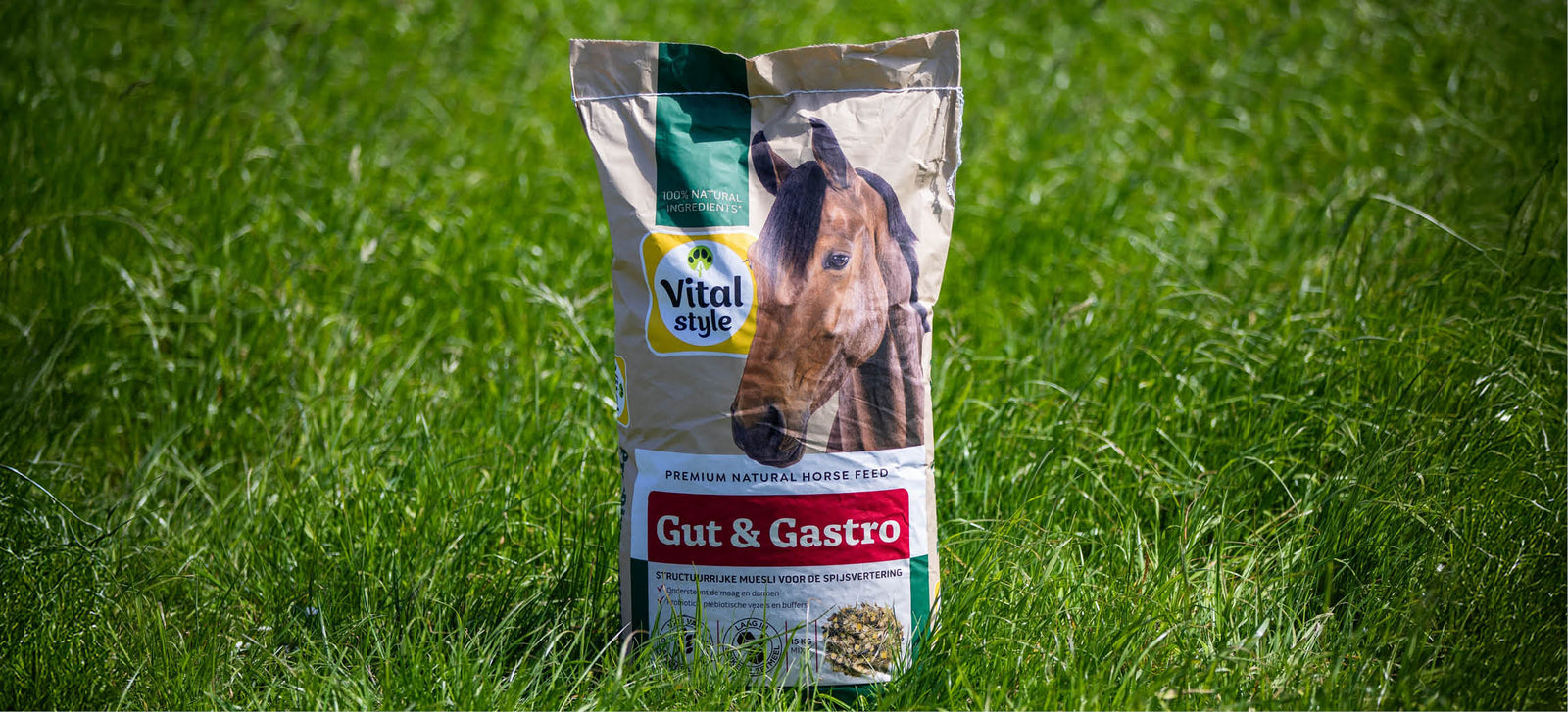 Vitalstyle horse feed highlighted