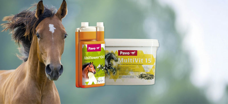 Give your horse a little extra support during shedding