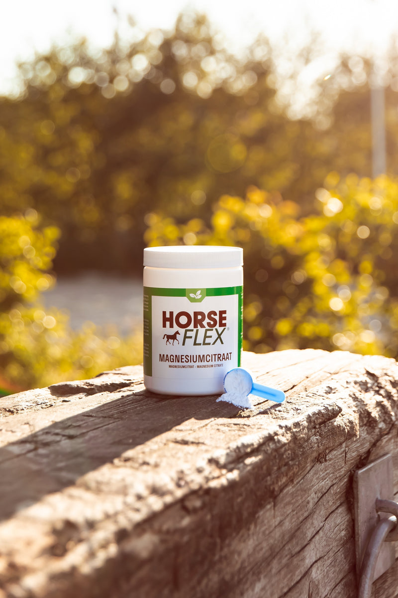 The importance of magnesium for your horse