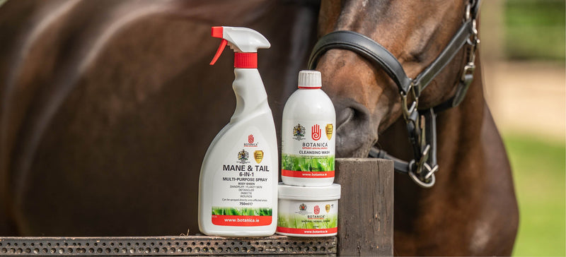 Help your horse with itching!
