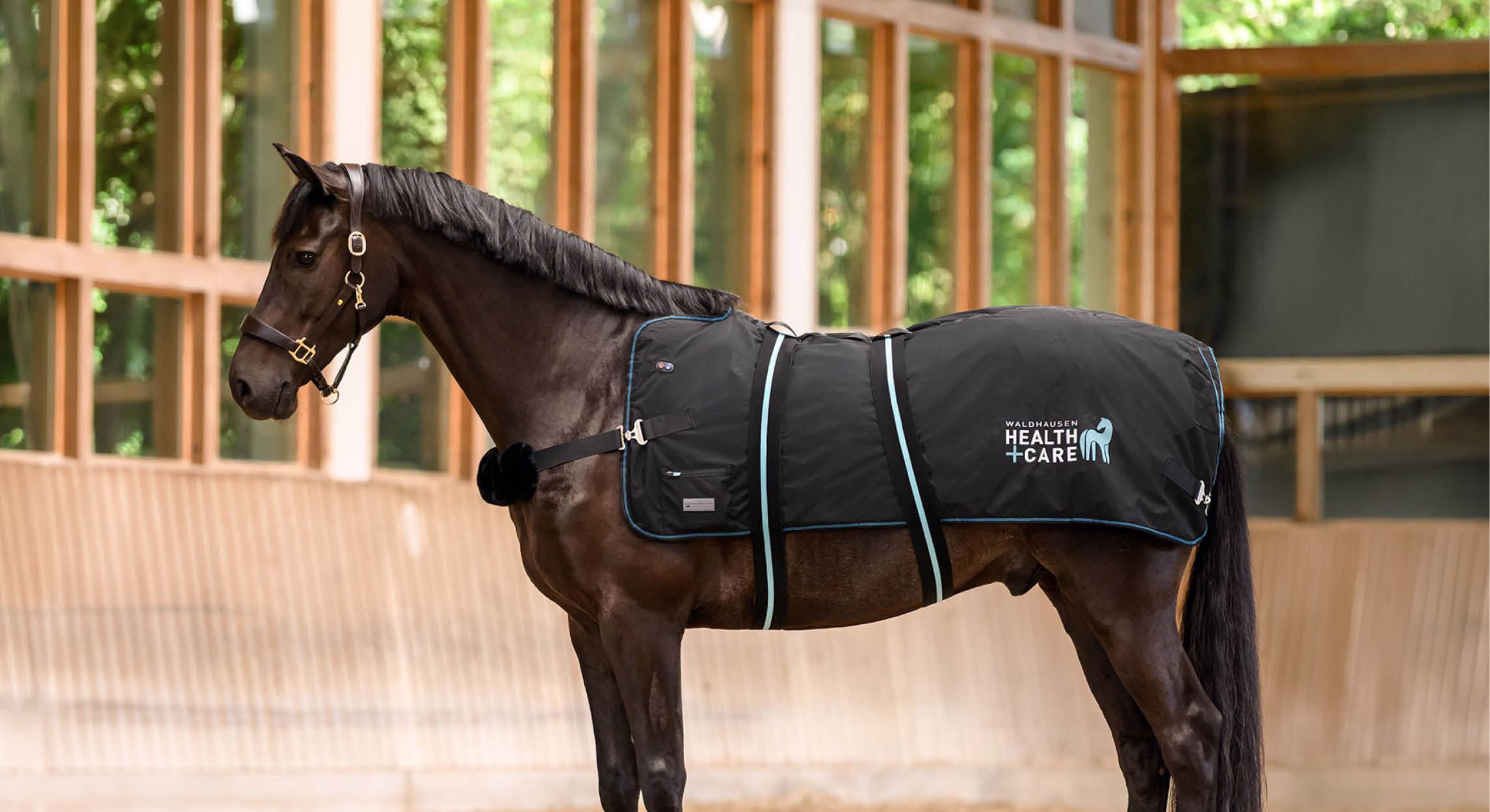 Heat and massage for your horse: Waldhausen Health + Care