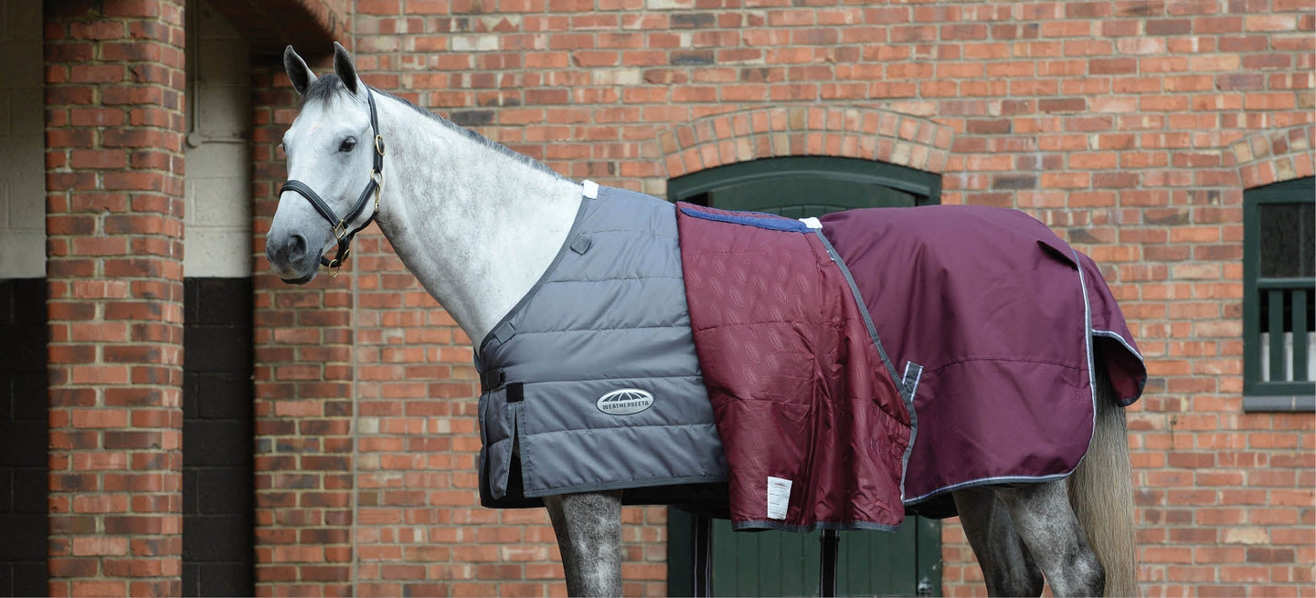 Rug Guide: When Should You Use Which Rug for Your Horse?