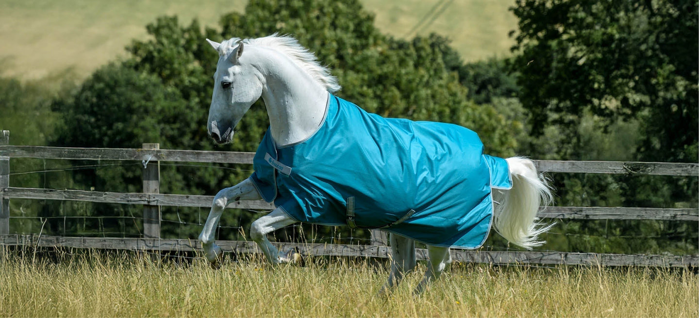 How can you best maintain a horse rug?