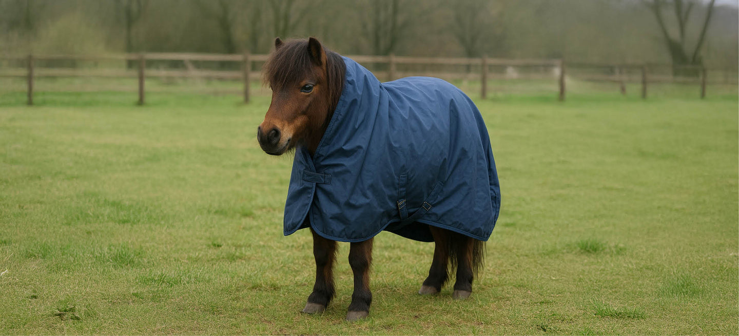 How do you find the right rug size for your horse?